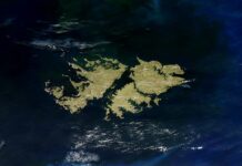 A 40 años de la Guerra de Malvinas