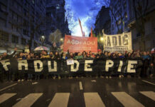 Docentes universitarios renovaron conducción del gremio y sus comisiones internas