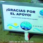 Expulsada del CONICET mientras investigaba a bordo de Falkor